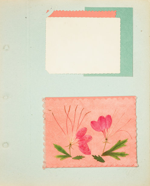 scrapbook