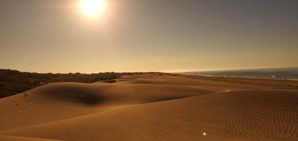 dune