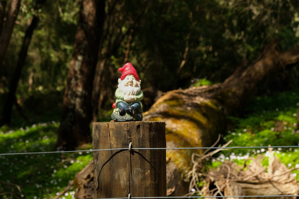 gnome