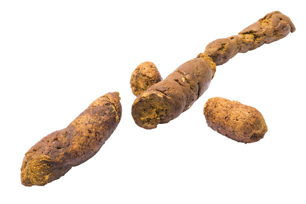 poo