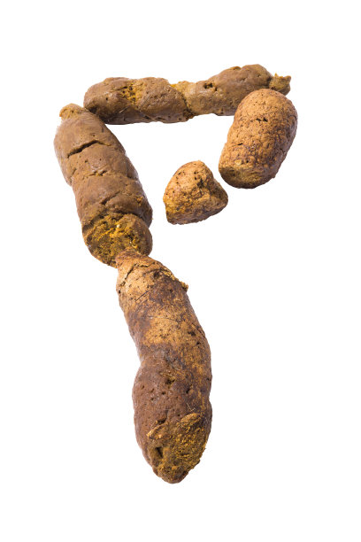 poo