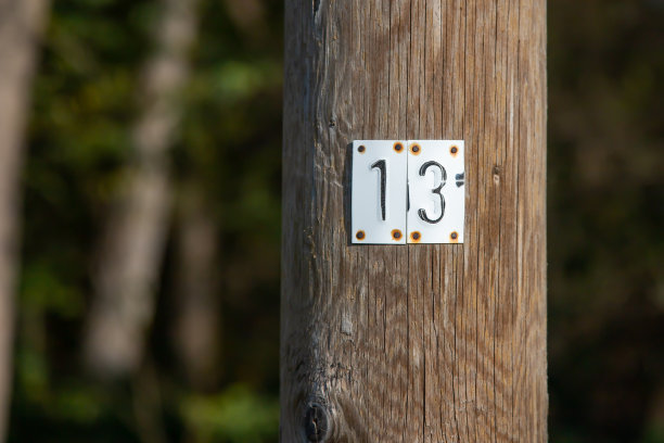 13