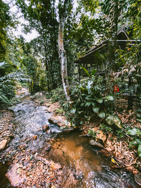 kampung