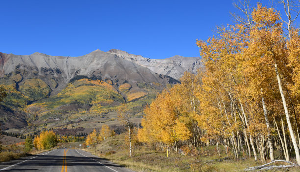 aspen