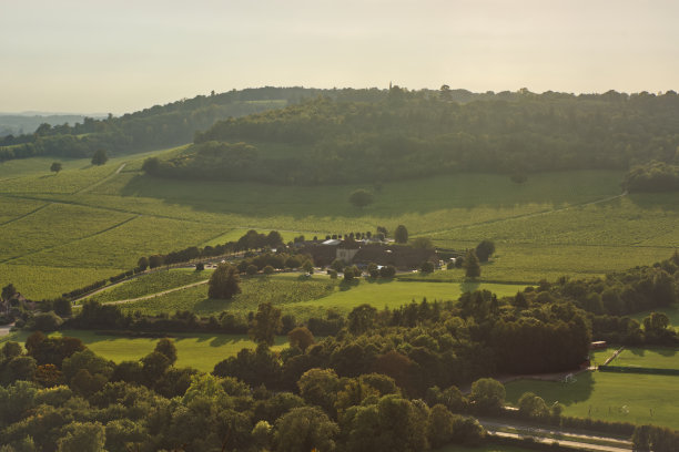 surrey