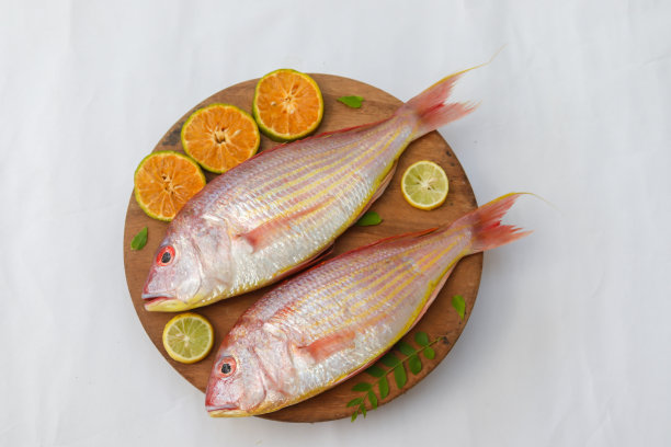 rockfish
