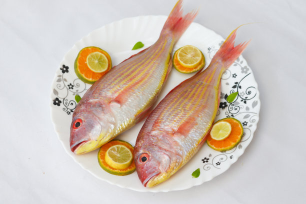rockfish
