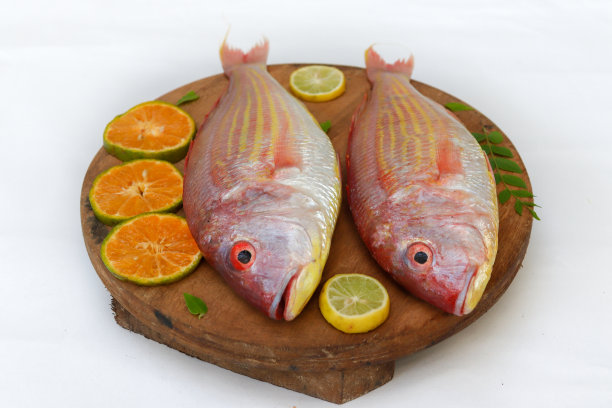 rockfish