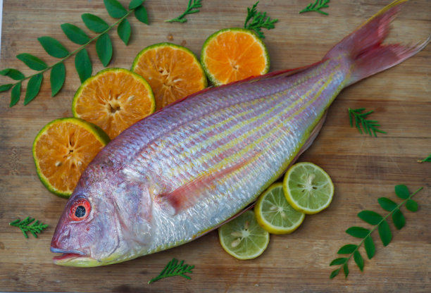 rockfish
