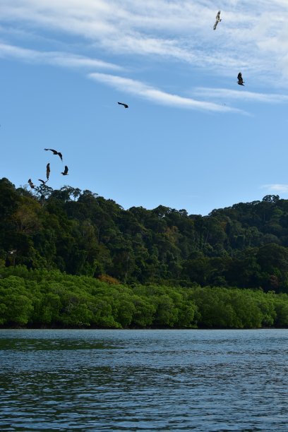 langkawi