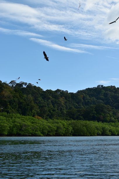 langkawi