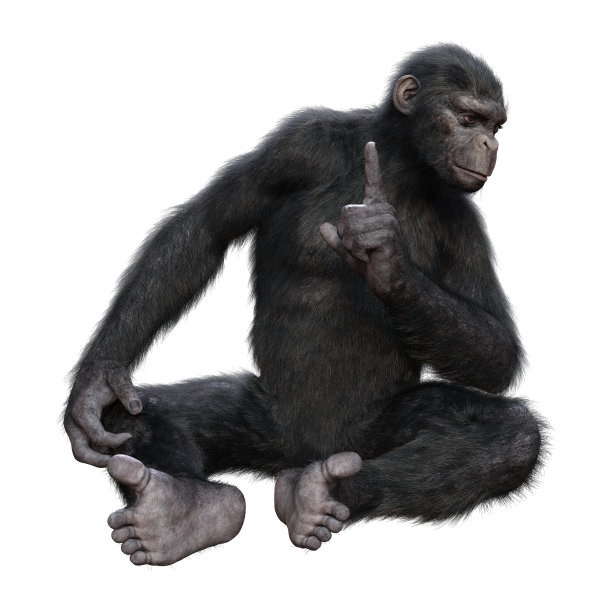 ape