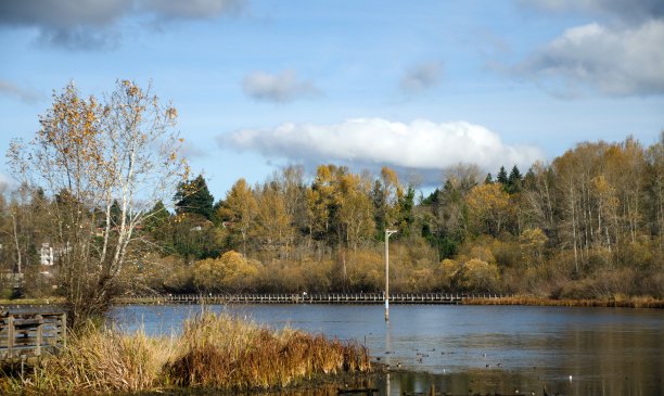 kirkland