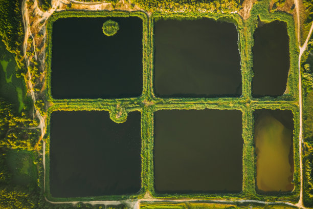 ponds