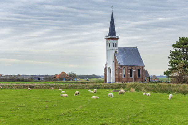 _texel