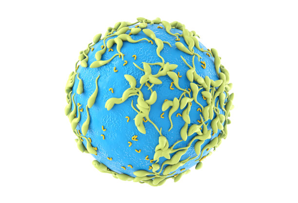 cd4