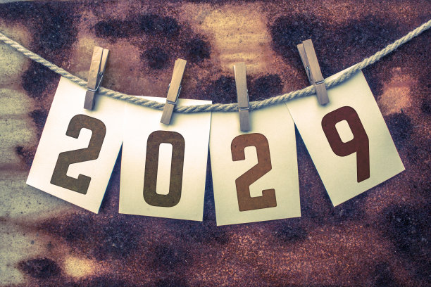 2029