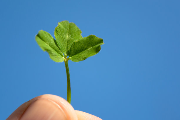 hope