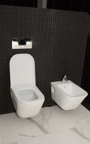 bidet