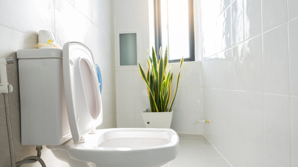 bidet