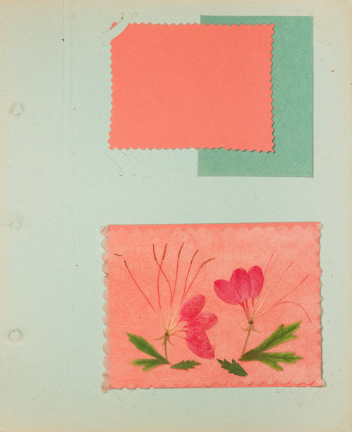scrapbook