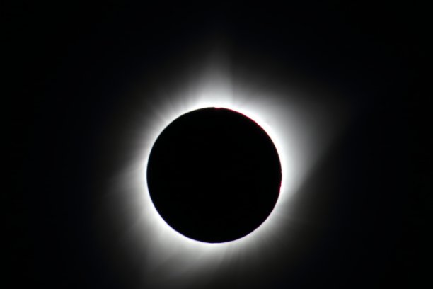 corona