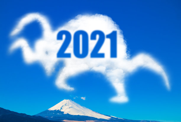 牛年小景 新年小景 2021