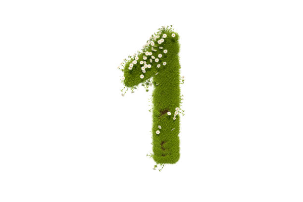 no.1