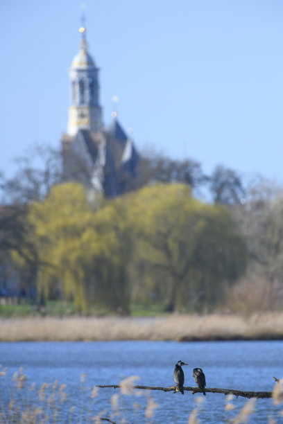 kampen