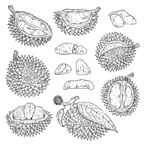durian