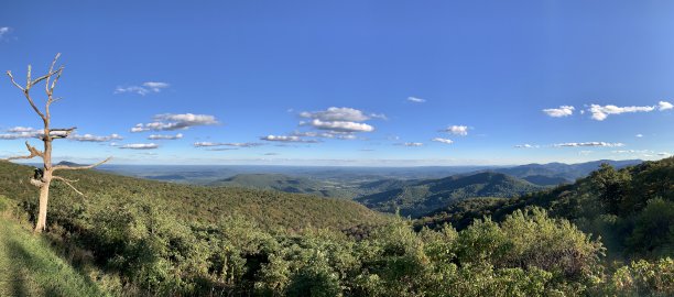 shenandoah