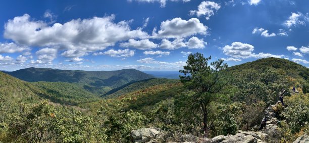 shenandoah