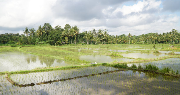 denpasar