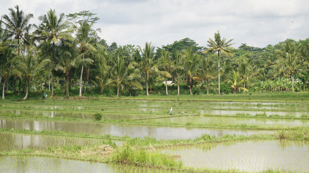 denpasar
