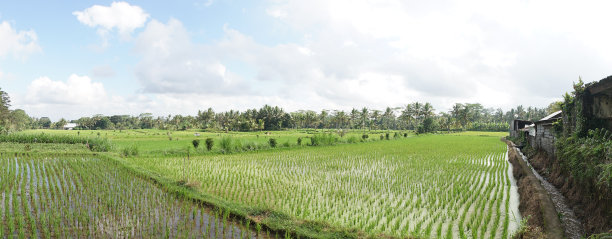 denpasar