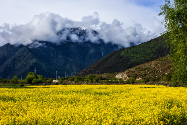 色达全景