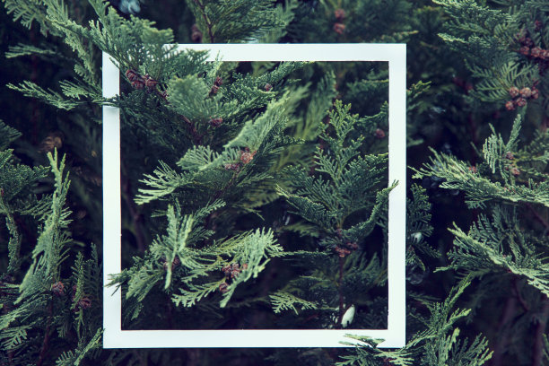 清新绿色方块背景图案