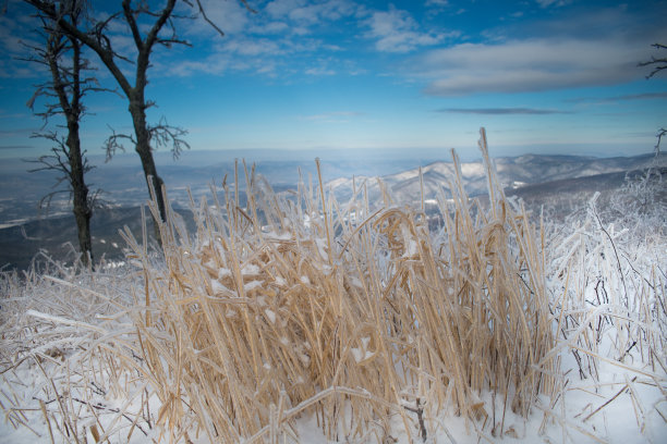 shenandoah
