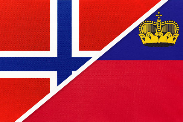 挪威会议背景