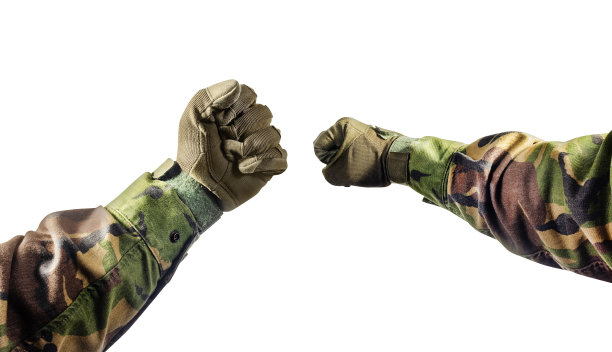 sas