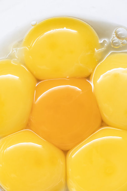 yolk