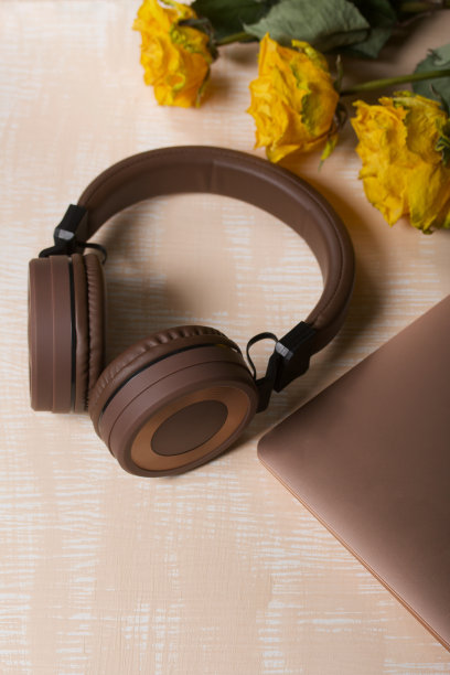headset