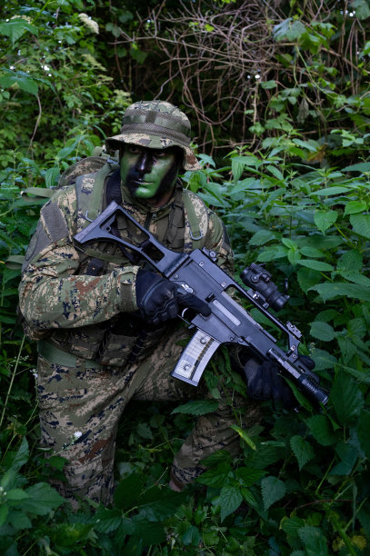 sas