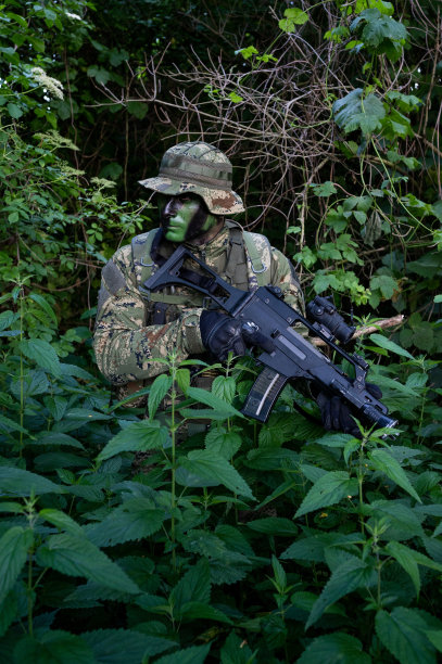 sas