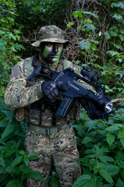 sas