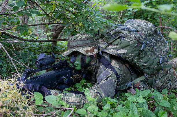 sas