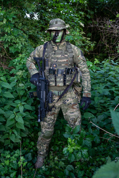 sas