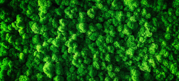 清新绿色方块背景图案