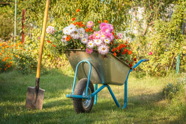 wheelbarrow