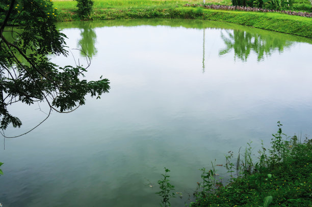 ponds